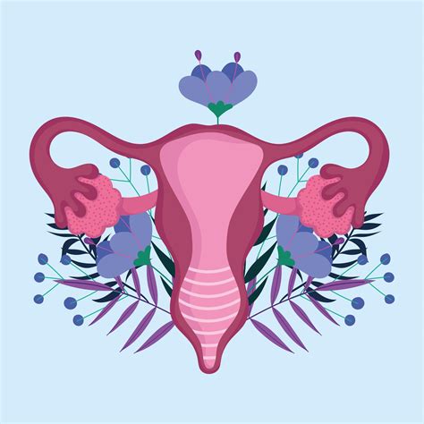 Female Human Reproductive System Flower Stylized Flat 2777489 Vector