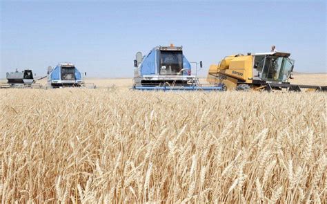 Azerbaijan Begins Grain Sowing In Liberated Aghdam Exclusive Trendaz