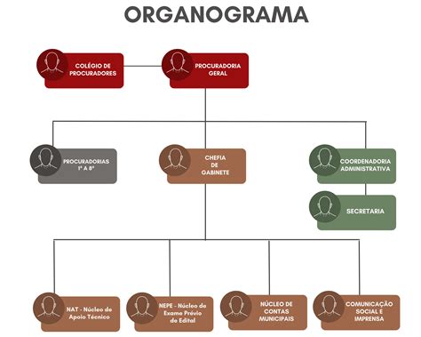 Organograma E Estrutura Ministério Público De Contas Do Estado De São