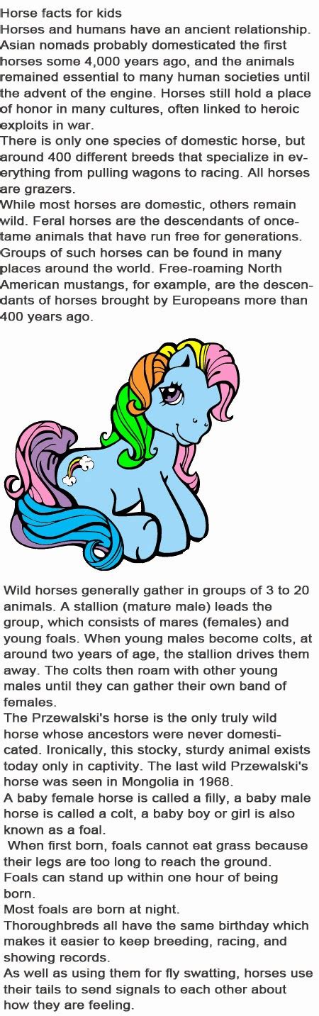 Horse Facts For Kids Childhood Education