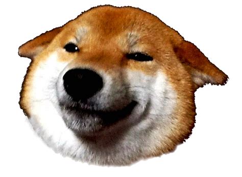Doge Head Png Image Png All Png All