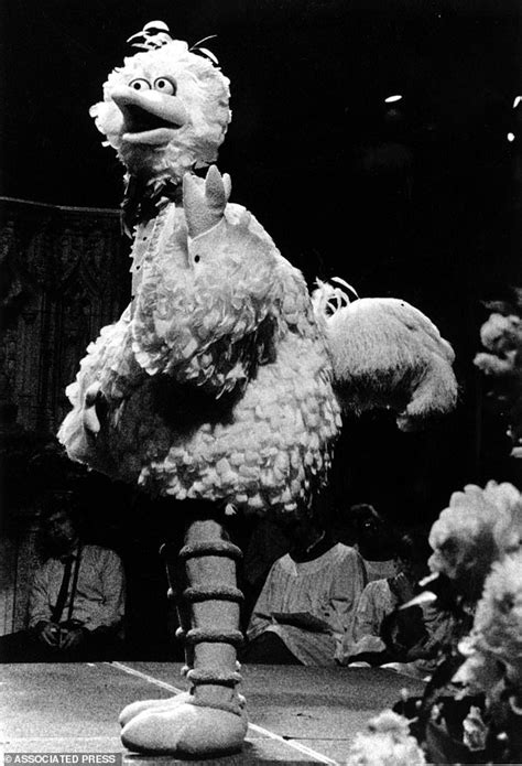 Puppeteer 84 Who Played Big Bird For 50 Years Announces Retirement