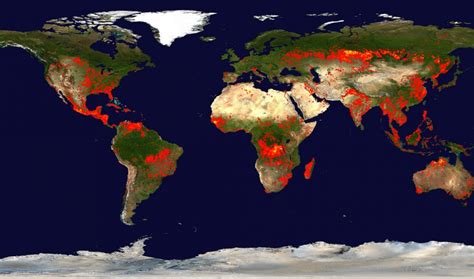 This Scary Nasa Map Shows How The Worlds Forests Are Going Up In Smoke