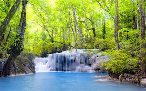 Download Wallpaper For 1600x900 Resolution Trees Waterfalls Forest