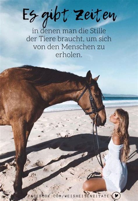 Pin von Kerstin Steinke auf Sprüche | Pferde zitate, Sprüche motivation