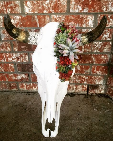 Succulent Cow Skull With Lace Skullsbyashley Instagram Skullsbyashley