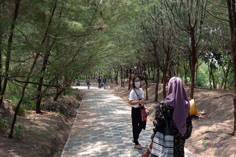 Hutan Mangrove Wonorejo Surabaya Cocok Untuk Lepas Penat News On Rcti