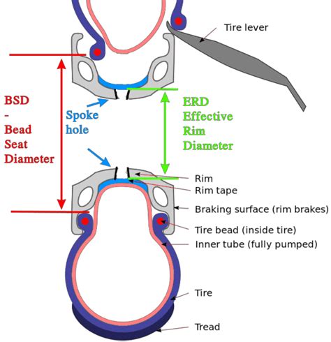 Effective Rim Diameter Erd Explained Bikegremlin Vlrengbr