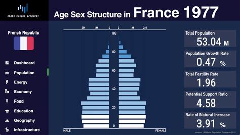 France Changing Of Population Pyramid And Demographics 1950 2100