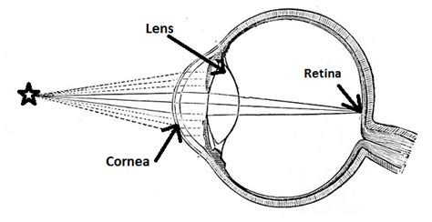 Lens Of The Eye Definition And Function Video And Lesson Transcript