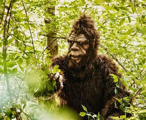 ‘female Bigfoot Photographed Carrying Beastly Baby Through Woods On