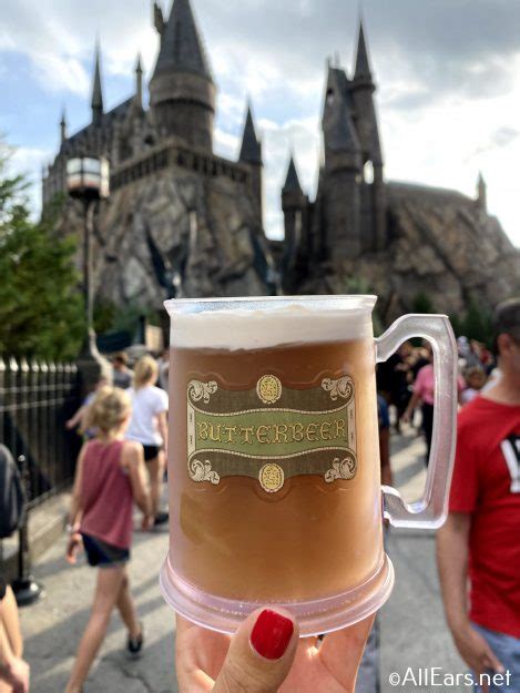 The 9 Most Magical Snacks In Universal Orlandos Wizarding World Of