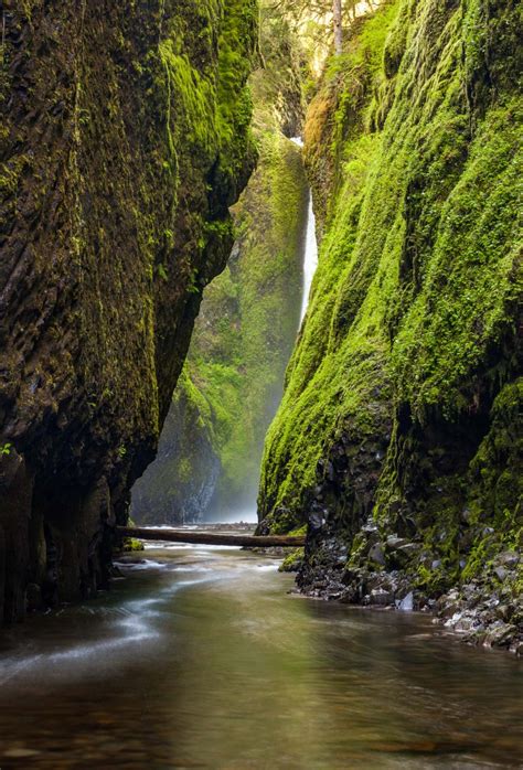 12 Epic Waterfall Hikes Near Multnomah Falls Locals Guide