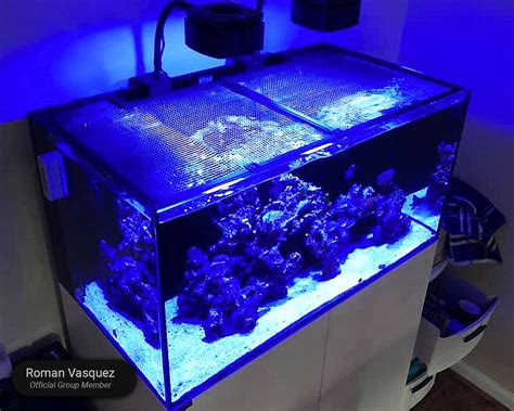 Waterbox Silver Marine Aq Aquarium Solutions