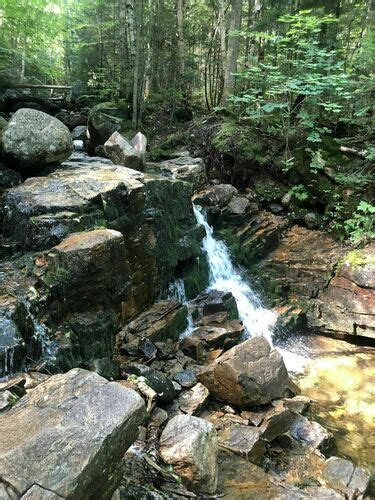 Photos Of Mount Willard Trail New Hampshire Alltrails