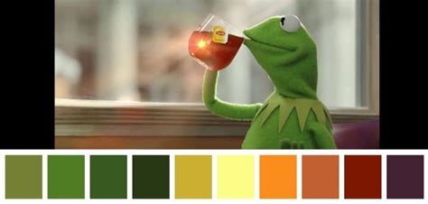 We Created Color Palettes From Iconic Internet Memes And Wow Theyre