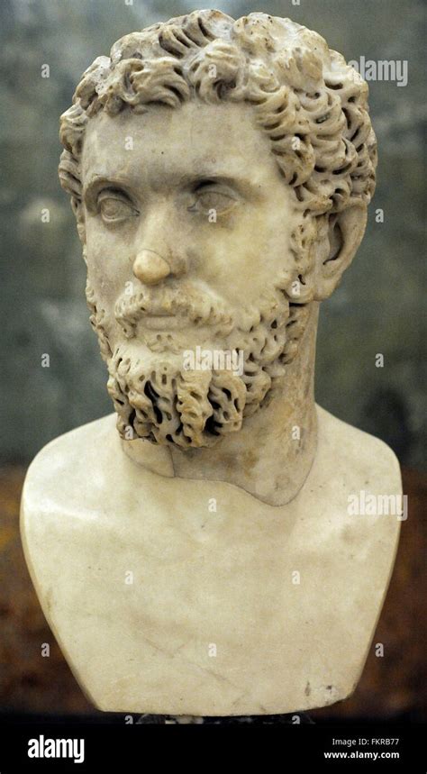 Emperor Septimius Severus Statue Hi Res Stock Photography And Images