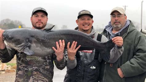 Possible Record Catfish Caught In North Texas Lake Ktfw Fm