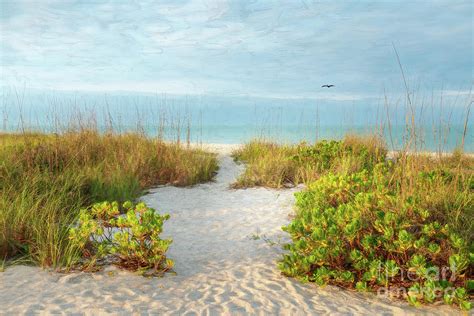 The Most Beautiful Morning At The Beach Florida Painterly Photograph