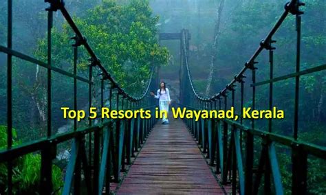 Top 5 Resorts In Wayanad Wayanad Resorts
