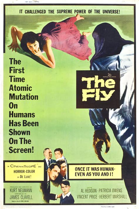 Photo Science Fiction Movie The Fly 1958 Collectables Collectable