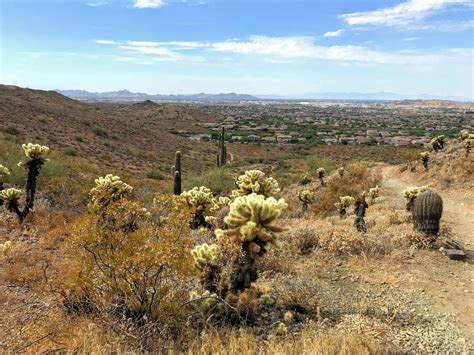 Desert Vista Trailhead Hikes Phoenix Sonoran Preserve Get Outdoors