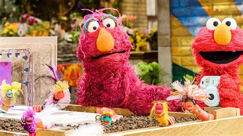 Picture This Sesame Street Apple Tv