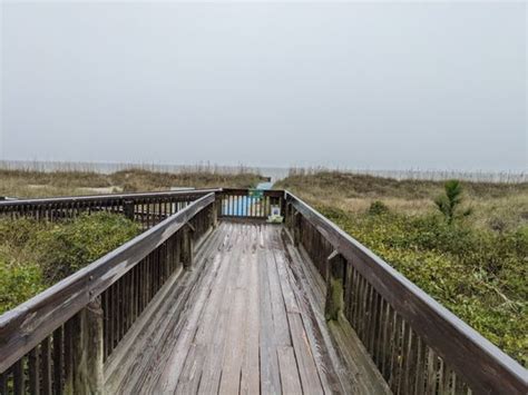 Folly Field Beach Park 82 Photos And 23 Reviews 55 Starfish Dr