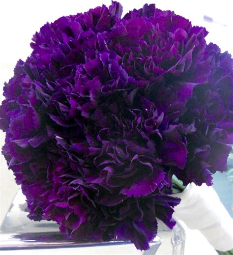 Pin By Lola K Deaton On Plum Pretty Purples Purple Carnation Bouquet