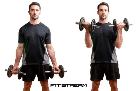 Biceps Curl Guide Hints And Tips Weight Training Exercises Fitstream