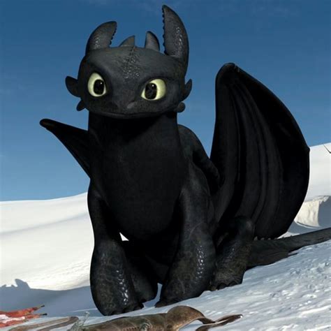 Chimuelo Como Entrenar A Tu Dragon Night Fury Dragon Dragon Movies Toothless Dragon Pikachu