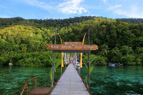 Raja Ampat Dive Lodge Bewertungen Fotos And Preisvergleich Mansuar