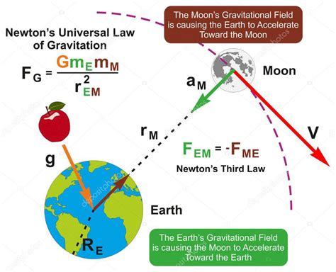 Newtons Ley Universal De Gravitación Diagrama Infográfico Con La