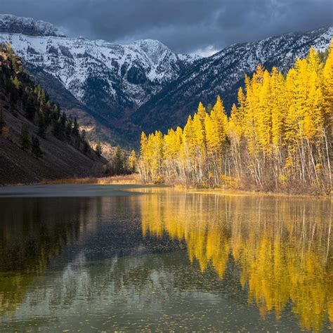Autumn Scene Canadian Rockies Bc By Andy Austin Photographer