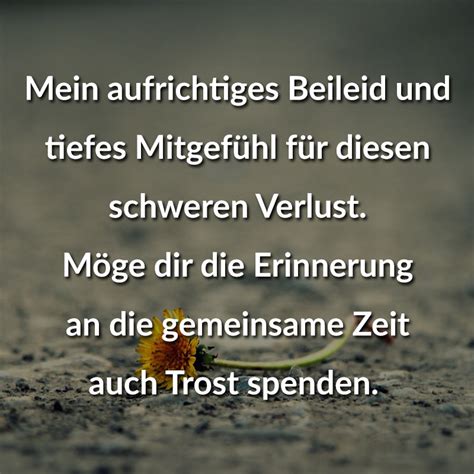 Trauerkarten / beileidskarten schreiben bedeutet, den angehörigen des verstorbenen in dieser schwierigen zeit trost zu spenden und seine anteilnahme auszudrücken. Trauerkarte spruch herzliches beileid. 💣 Beileid ausdrücken • Hilfestellung für ...