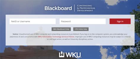 Wku Blackboard 2023 Guide Dream Job Sure