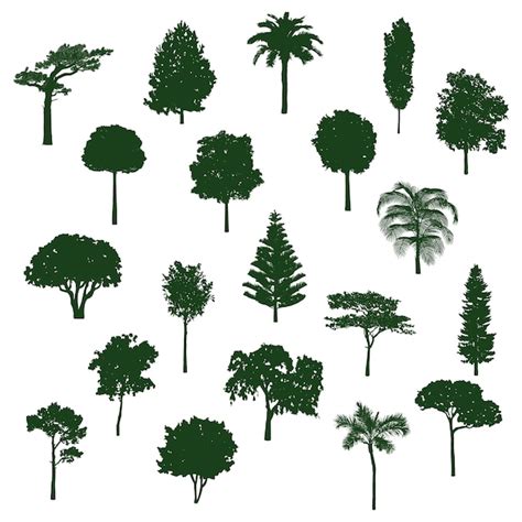 Free Vector Tree Collection