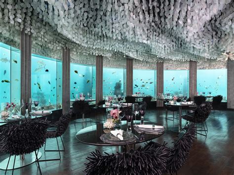 Restaurante Submerso Maldivas 6 Dicas De Locais Para Conhecer
