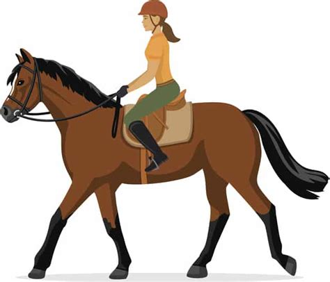 Woman Horseback Riding Equestrian Sport Isolated Vector Illustration