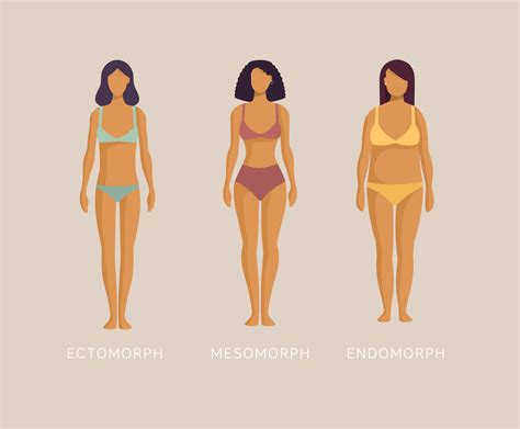 Endomorph Body Type Characteristics Explained Dr Berg