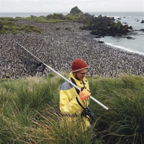 Macquarie Island An Island In Recovery Sub Antarctic Conservation