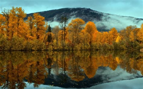 Nature Landscapes Trees Forest Mountains Clouds Fog Mist Sky Clouds Gray Autumn Fall