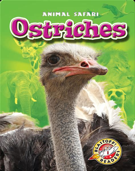 Ostriches Childrens Book By Kari Schuetz Discover Childrens Books
