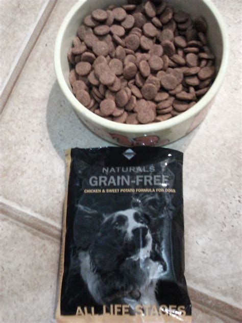 No added grain, gluten or fillers. Carma Poodale : Why Should You Choose a Grain Free Dog Food?