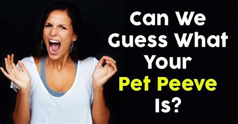 Can We Guess What Your Pet Peeve Is Pet Peeves Your Pet Pets