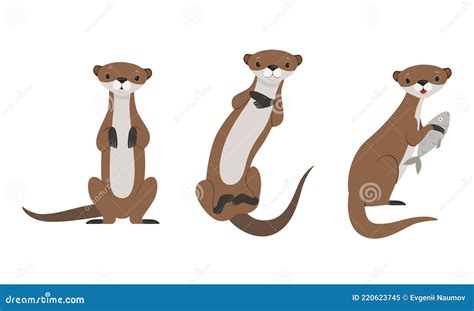 Set Of Cute Weasel Adorable Funny Wild Animal Cartoon Vector