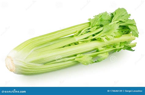 Bunch Of Fresh Celery Stalk With Leaves Isolated On A White Background