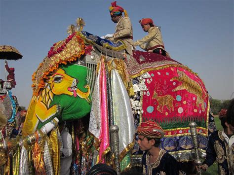 Elephant Festival Jaipur 2024 Dates Events Photos And More