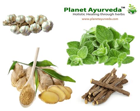 Herbal Remedies For Asthma Theayurveda
