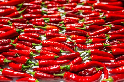 Sun Drying Chili Peppers Photographie Alexi Alvin Dagher Photography